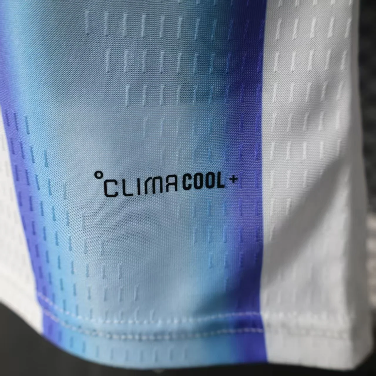 Argentina 2026 Home Football Jersey detail 2 view
