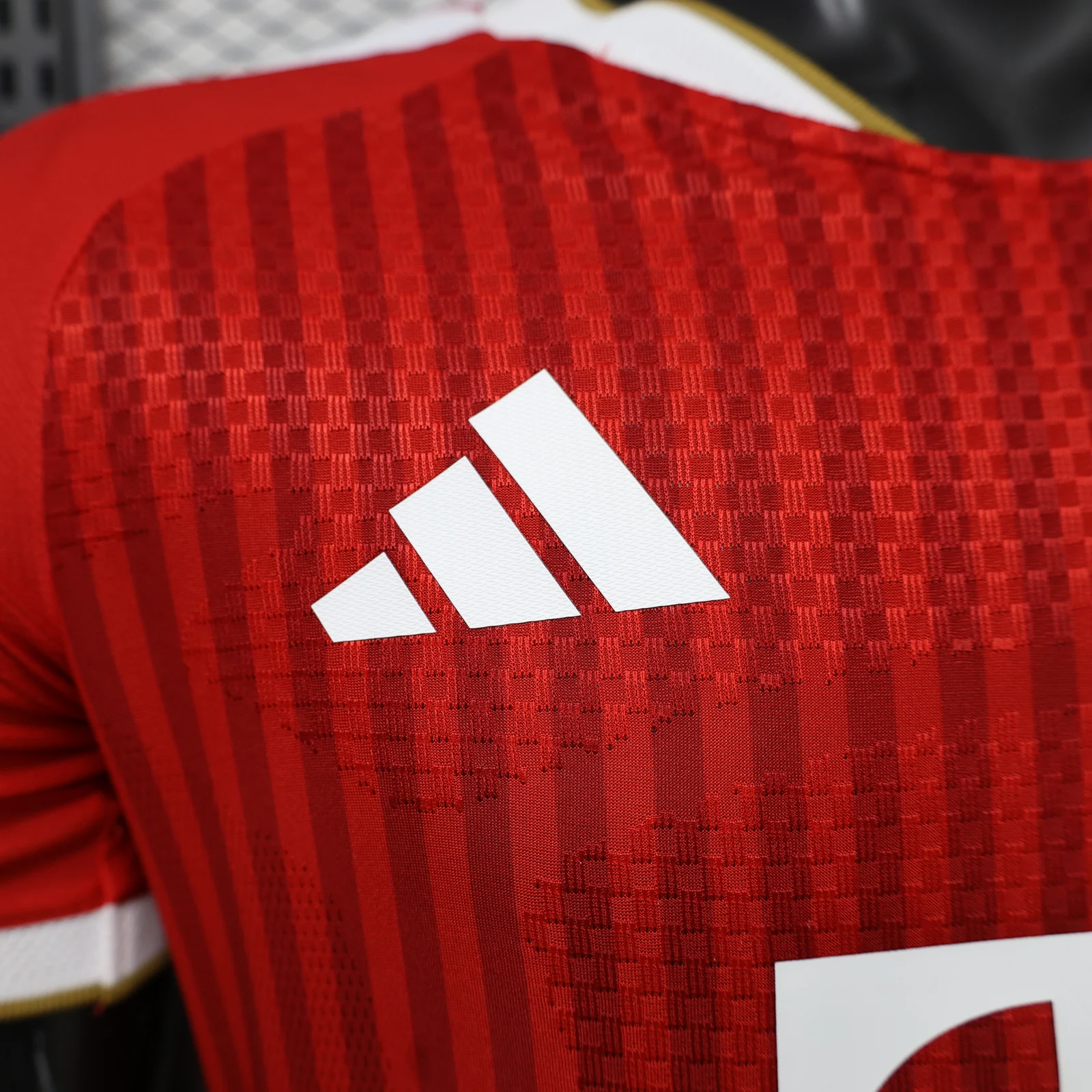 Bayern Munich 2026/27 Home Football Jersey detail 2 view