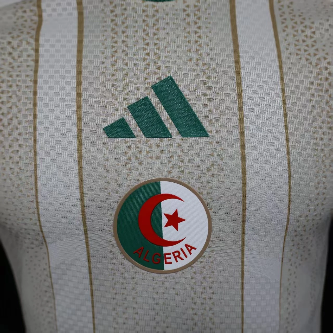 Algeria 2026 Home Football Jersey secondary view