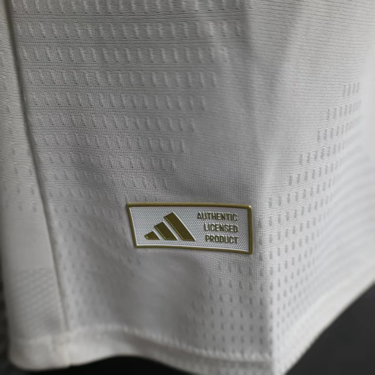 Algeria 2026 Home Football Jersey detail 2 view