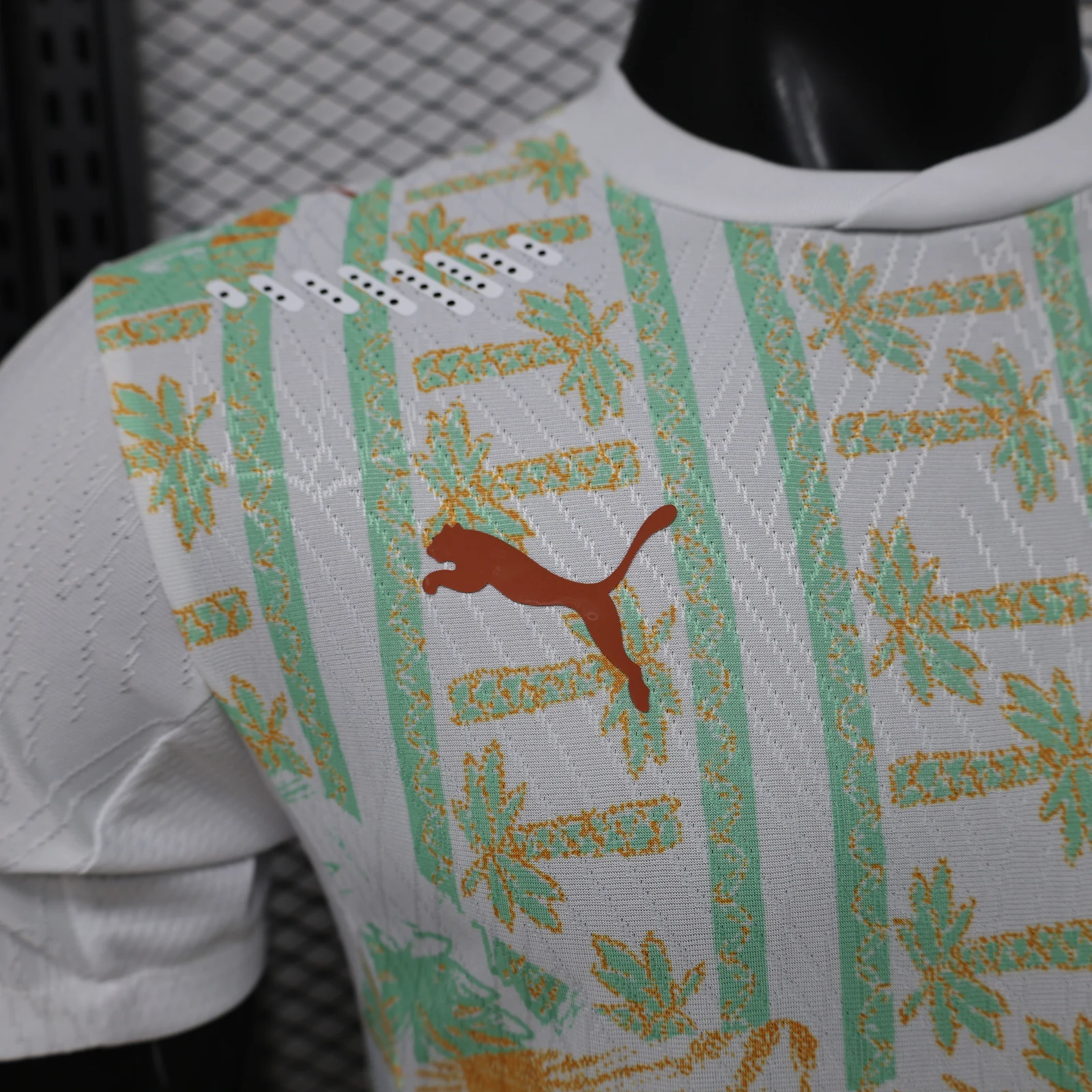 Cote d'Ivoire 2026 Away Football Jersey detail 1 view